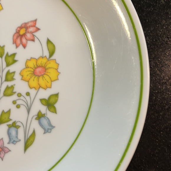 (1) Salad Plates "Meadow" (Corelle) by CORNING - Picture 4 of 7